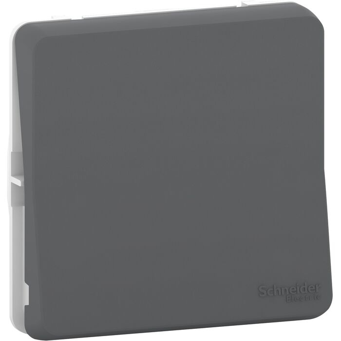 Переключатель 1-клавишный Schneider Electric MUREVA STYL, скрытый монтаж, антрацит