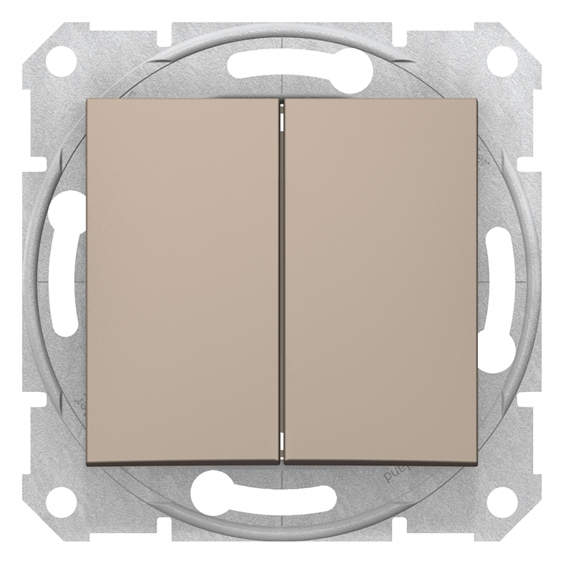 Выключатель 2-клавишный IP44 Schneider Electric SEDNA, скрытый монтаж, титан