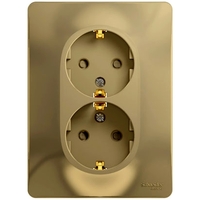 Розетка двухместная Schneider Electric GLOSSA, скрытый монтаж, с заземлением, со шторками, титан
