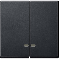 Клавиша двойная с линзами Schneider Electric MERTEN SYSTEM M, антрацит