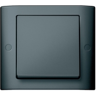 Клавиша Schneider Electric MERTEN AQUADESIGN IP44, антрацит