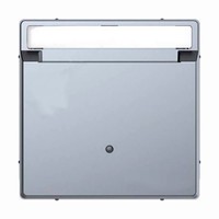 Накладка на карточный выключатель Schneider Electric MERTEN D-LIFE, нержавеющая сталь