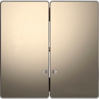 Клавиша двойная с линзами Schneider Electric MERTEN D-LIFE, никель